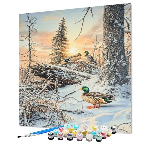 Malen Nach Zahlen Erwachsene Ente, Malen Nach Zahlen Tier, DIY Basteln Erwachsene Handgemalt Ölgemälde Set mit Pinsel und Acrylfarbe für Deko Wohnzimmer, Geschenk für Frauen 100 x 135 cm (Model-0727) Malen Nach Zahlen Erwachsene Ente, Malen Nach Zahlen Tier, DIY Basteln Erwachsene Handgemalt Ölgemälde Set mit Pinsel und Acrylfarbe für Deko Wohnzimmer, Geschenk für Frauen 100 x 135 cm (Model-0727) von LEYAUPGO