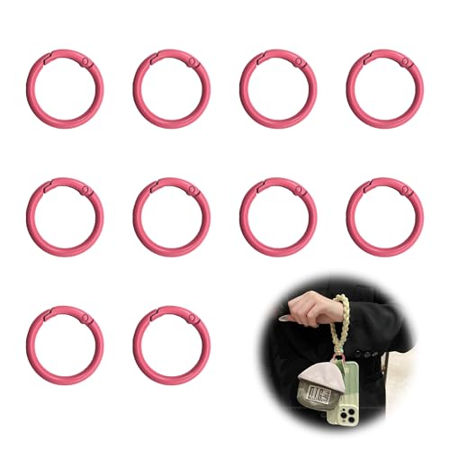 LIANCHEN 24 PCS 6 Farben Runde Karabiner Schlüsselanhänger Runde Karabinerhaken Trigger Legierung Frühlings Schlüsselring Schnalle Metall Feder O Ring für Schlüssel, Diy, Tasche (Rosa) von LIANCHEN