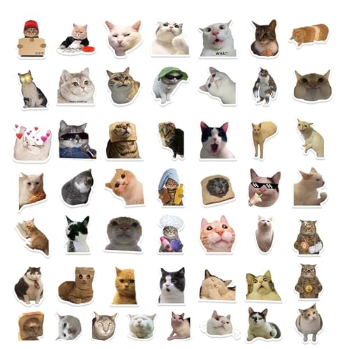 LIANRISES 50 Stück Meme Sticker Katzen Sticker Aufkleber Lustig Lustige Sticker Meme Katzensticker Funny Sticker Meme Aufkleber Handyschachtel Gitarre Skateboard Koffer Laptop-Aufkleber Wasserdicht von LIANRISES