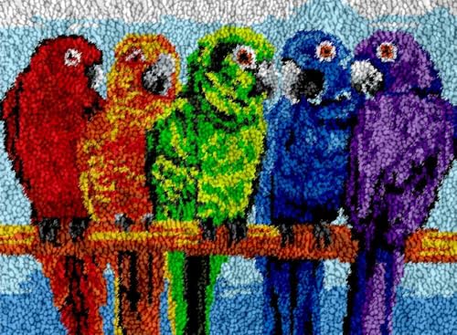LIAZLIUT Knüpfhaken-Set Für Erwachsene, Vogel, Farbig Vorgedrucktes Stickmuster Für Die Heimdekoration (55 X 75 Cm) von LIAZLIUT