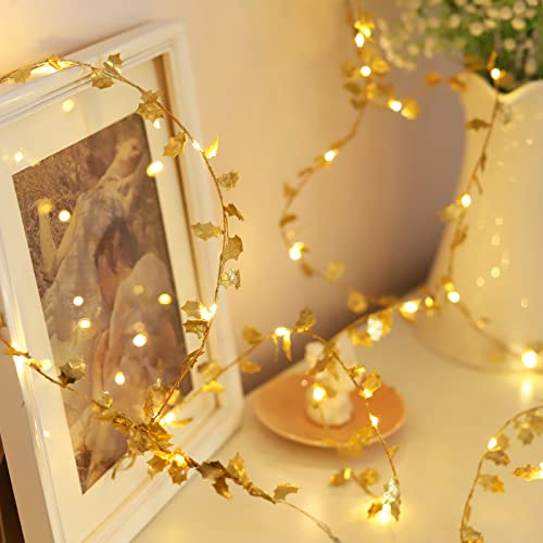 LICHENGTAI LED Lichterkette, 2M 20LEDs Goldene Blätter Lichterkette Warmweiß Lichtervorhang Batteriebetriebene Weihnachten Licht Dekoration für Weihnachten Geburtstag Hochzeit DIY Hause Dekoration von LICHENGTAI