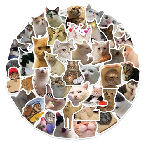 100 Stück Katzen Sticker,Meme Sticker Aufkleber Katze Stickers Lustige Cat Cute Niedliche Stickens Aesthetic Kawaii Funny Katzenaufkleber Set Süße Kätzchen Wasserfeste Katzensticker ästhetische Stiker von LILIKAI