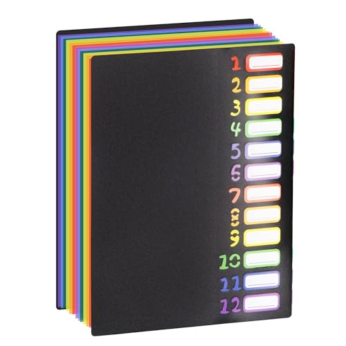 Fächermappe mit Register in Regenbogenfarben, 24 Fächer, A4, mit wasserabweisenden Kunststoff-Trennwänden, für Büro, Schule, Dokumente, Organizer, Folio, Schwarz von LIONSOUL