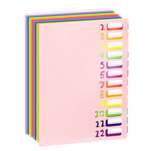 Fächermappe mit Register in Regenbogenfarben, 24 Fächer, A4, mit wasserabweisenden Kunststoff-Trennwänden, für Büro, Schule, Dokumente, Organizer, Folio (Rosa) von LIONSOUL