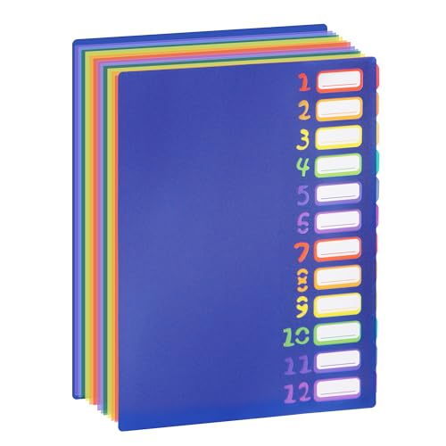 Fächermappe mit Register in Regenbogenfarben, 24 Fächer, A4, mit wasserabweisenden Kunststoff-Trennwänden, für Büro, Schule, Dokumente, Organizer, Folio (blau) von LIONSOUL