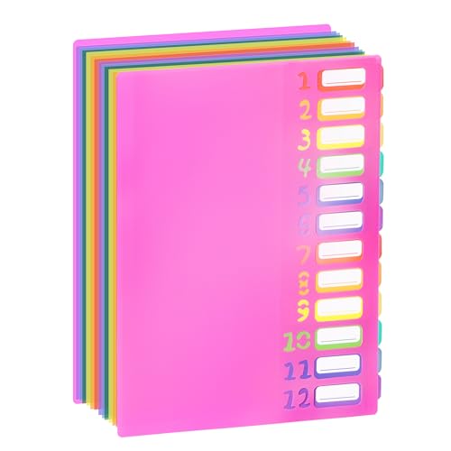 Fächermappe mit Register in Regenbogenfarben, 24 Fächer, A4, mit wasserabweisenden Kunststoff-Trennwänden, für Büro, Schule, Dokumente, Organizer, Folio (rot) von LIONSOUL