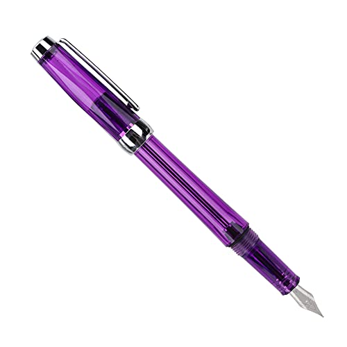 LIYJTK Füllfederhalter mit großer Kapazität, transparent, glatt schreibend, Edelstahl-Stift, Kalligraphie-Stift, Business-Schreibstift, Büro, Schulbedarf, 0,5 mm (Purple) von LIYJTK