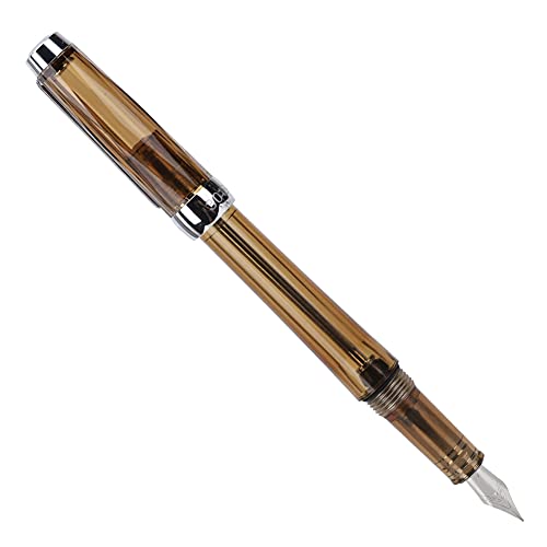 LIYJTK Füllfederhalter mit großer Kapazität, transparent, glatt schreibend, Edelstahl-Stift, Kalligraphie-Stift, Business-Schreibstift, Büro, Schulbedarf, 0,5 mm (Transparent brown) von LIYJTK