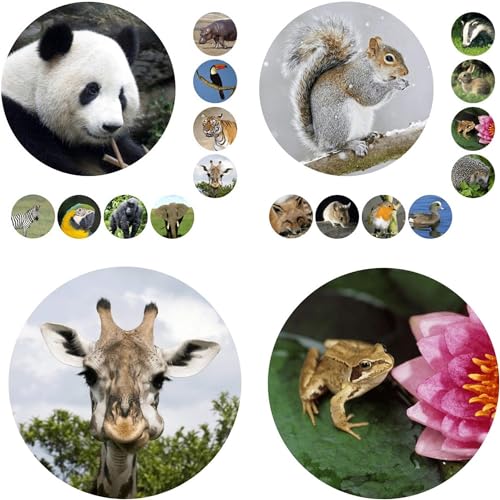 108 Foto Sticker Wald und Wildtiere als Aufkleber rund 19mm Größe, tolle Kindersticker mit Lerneffekt von LK Trend & Style