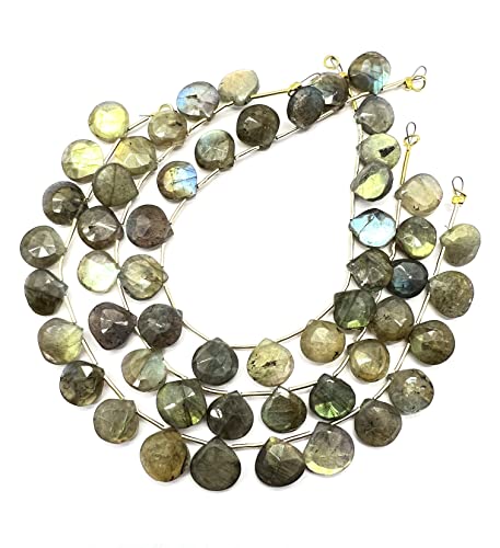 8.5 Inch 1 Strand Labradorite 18 Pieces Beads Size 10x9-11x11mm Shape Heart Cut Faceted Making, Beading & Craft Supplies B0BNIWA64 von LKBEADS