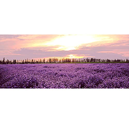 Blumenbilder auf Leinwand,Lavendel Sonnenuntergang Landschaft Natur Druck auf Leinwand,Bild auf Leinwand Vlies Wandbild Wohnzimmer Wanddekoration 80x240cm(32x96in) Rahmenlos von LKLKLK