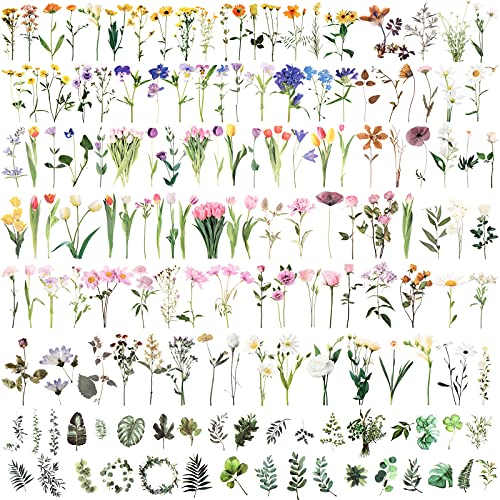 274 Stück Scrapbooking Blumen Aufkleber Blumen Pflanzen Deko Sticker Natur Vintage Flower Stickers Wasserdicht Blumenaufkleber für Fotoalbum Kalender Notizbuch Tagebuch DIY Dekoration von LOCOLO