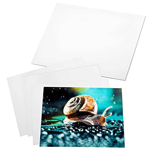 Fotopapier, glänzend, 20 x 25 cm, Fotopapier für Druckerbilder, Tintenstrahldrucker, Fotopapier, 180 g/m², geeignet für Flyer, Kalender und Broschüren von LOKUNN