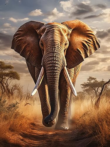 LOMSIOY DIY Diamond Painting Set Elephant 5D Diamant Painting Bilder Animals Mit Zubehör für Voll Full Drill Strass Stickerei Diamant Malerei Kristall Erwachsene Home Wall Décor 30×40 cm von LOMSIOY