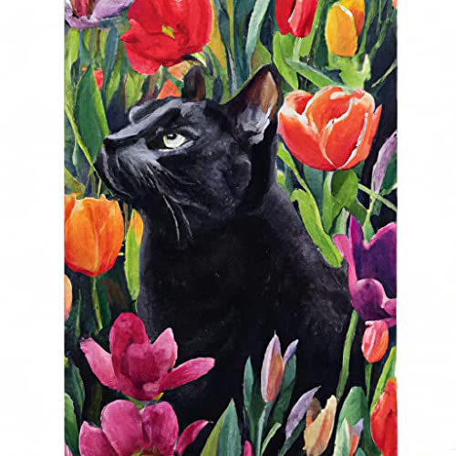 LOMSIOY DIY Diamond Painting Set Katze Tier 5D Diamant Painting Bilder Blume Mit Zubehör für Voll Full Drill Strass Stickerei Diamant Malerei Kristall Erwachsene Home Wall Décor 30×40 cm von LOMSIOY