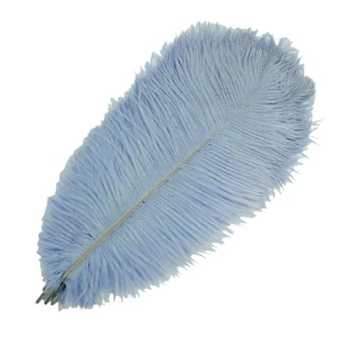 LOUKEKE 100 stücke Farbige Straußenfedern Handwerk DIY Party Feder Hochzeit Kopfschmuck Decor Zubehör von LOUKEKE