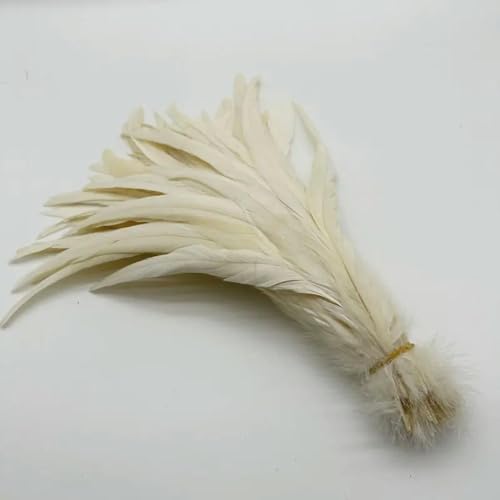 LOUKEKE 100 stücke Rooster Schwanz Federn Schwärzlich Grün Plumes Beige DIY Kleidung Schmuck Zubehör von LOUKEKE