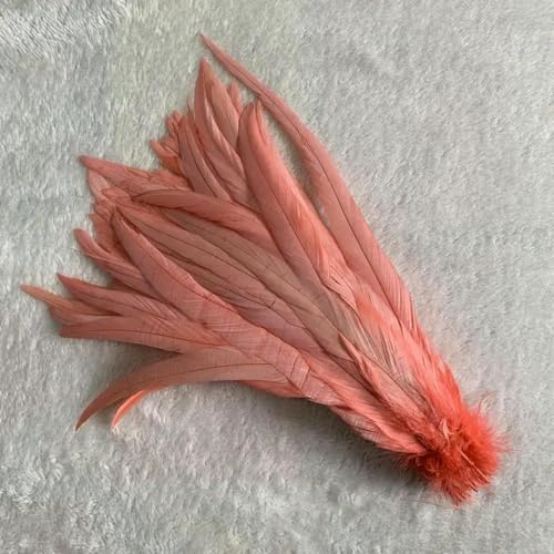 LOUKEKE 100 stücke Rooster Schwanz Federn Schwärzlich Grün Plumes Beige DIY Kleidung Schmuck Zubehör von LOUKEKE