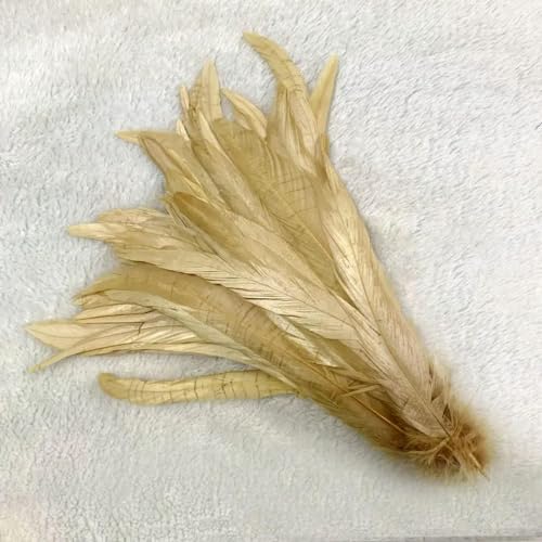 LOUKEKE 100 stücke Rooster Schwanz Federn Schwärzlich Grün Plumes Beige DIY Kleidung Schmuck Zubehör von LOUKEKE