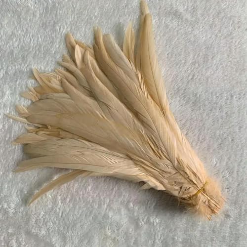 LOUKEKE 100 stücke Rooster Schwanz Federn Schwärzlich Grün Plumes Beige DIY Kleidung Schmuck Zubehör von LOUKEKE