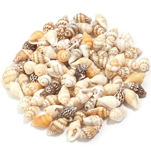 LOUKEKE 30 gr/los Blume Schnecke Shell Perlen Lose Spacer Perlen DIY Schmuck Armband Anhänger Phoen Schlüssel Tasche Auto Kette Zubehör LOUKEKE 30 gr/los Blume Schnecke Shell Perlen Lose Spacer Perlen DIY Schmuck Armband Anhänger Phoen Schlüssel Tasche Auto Kette Zubehör von LOUKEKE