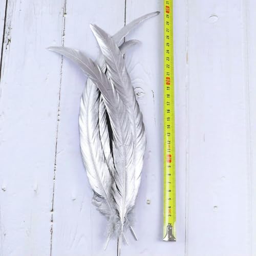 LOUKEKE 30 stücke Schöne Silber Gans Truthahn Huhn Federn Dekoration DIY Party Decorativas Plume Handwerk von LOUKEKE