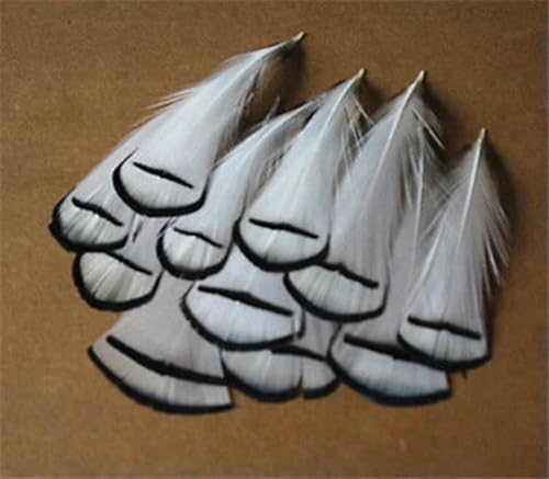 LOUKEKE 50 Teile/los Fasanenfedern für Handwerk 4-8 cm/1,6-3,2 Zoll Hochzeit Federn Dekoration Federn Plumas von LOUKEKE