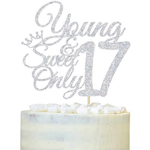 Happy 17th Birthday Cake Topper, Dancing Queen Young and Sweet Only 17, Seventeen, 17th Birthday Party Dekorationen Supplies Silber Glitter von LOVELY BITON