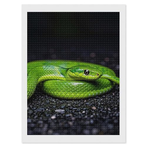 LPSADGF The Green Snake Diamond Painting Kits for Adults, 30,5 x 40,6 cm, DIY Malen nach Zahlen für Erwachsene und Anfänger, DIY Vollbohrer, Diamant-Punkte, Bild, Kunst, Handwerk für Wanddekoration von LPSADGF