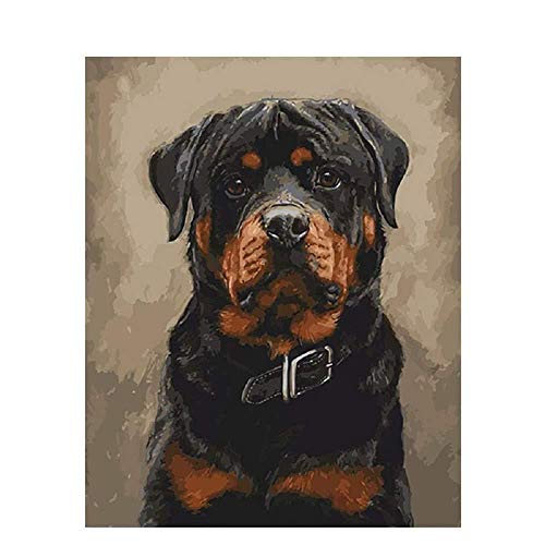 LSDEERE DIY Vorgedruckt Leinwand Ölgemälde Geschenk Für Erwachsene Kinder Malen Nach Zahlen Kits Home Haus Dekor Rottweiler Hund 40 * 50 cm von LSDEERE