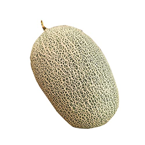 LSSHPZLFC Niedliche, Mit Früchten Gefüllte Kissen, Kinderkissen, Gefüllte Wassermelonen-Plüschtiere, Superweiche Mädchenkissen, Ananas-Durian-Kissen, Sitzcouch-Ornamente(Cantaloupe) von LSSHPZLFC