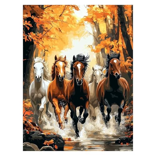Horse Malen Nach Zahlen Erwachsene, Malen Nach Zahlen auf Leinwand mit Pinsel und Acrylfarben 70x50 Cm DIY Basteln Erwachsene Leinwand Bilder Tier für Wanddeko Wohnzimmer Geschenke für Frauen LSJ-2517 Horse Malen Nach Zahlen Erwachsene, Malen Nach Zahlen auf Leinwand mit Pinsel und Acrylfarben 70x50 Cm DIY Basteln Erwachsene Leinwand Bilder Tier für Wanddeko Wohnzimmer Geschenke für Frauen LSJ-2517 von LUESSJAO