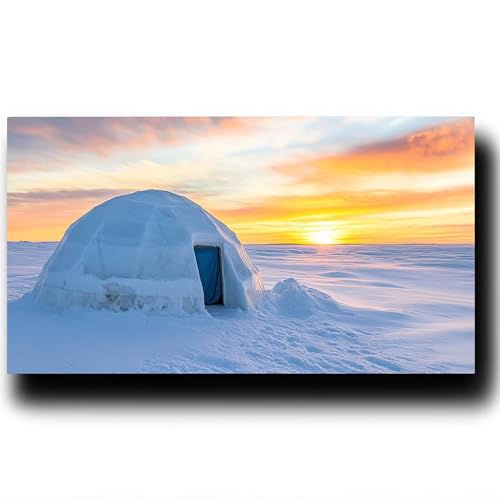 Malen nach Zahlen Kinder ab 7 jahre Mädchen, Malen nach Zahlen Erwachsene Schneelandschaft Malen Nach Zahlen Kinder Iglu Kreativ Set für Erwachsene als Geschenke für Frauen, Zimmer Deko 90X180cm 8-0-0 von LUESSJAO