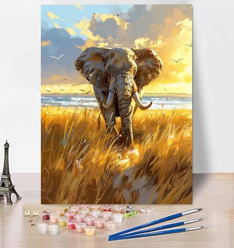 DIY Malen Nach Zahlen Erwachsene Elefant, Malen Nach Zahlen Tier Malen Nach Zahlen ab 10 Jahre Mädchen mit Pinseln und Acrylfarben, Paint by Numbers für Zimmer Deko, Geschenke für Frauen 30x40 cm I-T von LUESUAYN