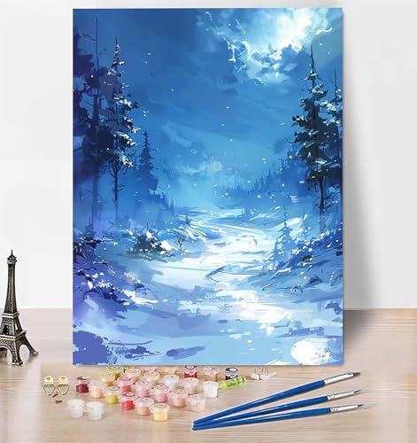 DIY Malen Nach Zahlen Erwachsene Winter, Malen Nach Zahlen Landschaft Malen Nach Zahlen ab 10 Jahre Mädchen mit Pinseln und Acrylfarben, Paint by Numbers für Zimmer Deko, Geschenke 20 x 30 cm 9-9 von LUESUAYN