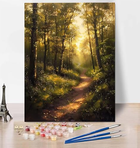 LUESUAYN DIY Malen Nach Zahlen Erwachsene Landschaft, Malen Nach Zahlen Wald Malen Nach Zahlen ab 10 Jahre Mädchen mit Pinseln und Acrylfarben, Paint by Numbers für Zimmer Deko, Geschenke 30x40cm S-2 von LUESUAYN