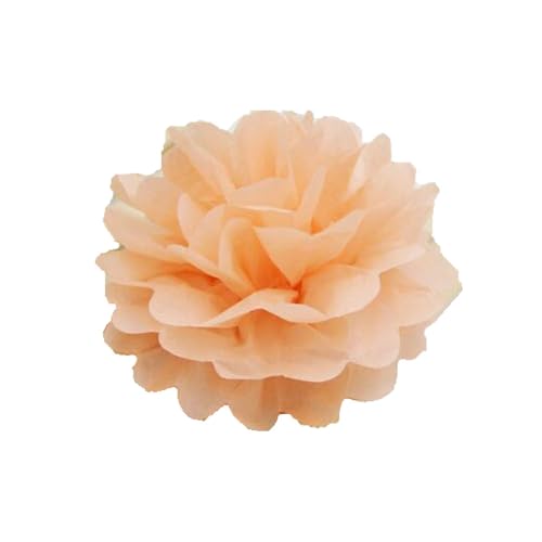 30 Stück Papier Blume Ball Pfingstrose Kugelblume Seidenpapier Pom Pom Pompons Blumen-Ball Dekorpapier Für Hochzeiten Partydekorationen DIY Kostüme Kopfschmuck Und Grußkarten 15cm-Farbe: 1# von LUMoony