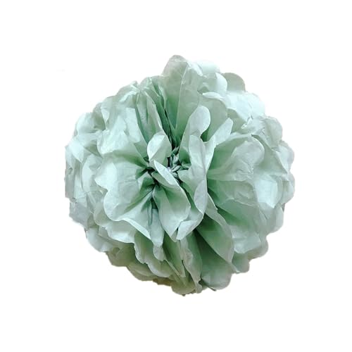 30 Stück Papier Blume Ball Pfingstrose Kugelblume Seidenpapier Pom Pom Pompons Blumen-Ball Dekorpapier Für Hochzeiten Partydekorationen DIY Kostüme Kopfschmuck Und Grußkarten 15cm-Farbe: 4# von LUMoony