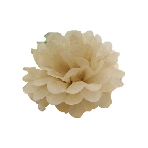 30 Stück Papier Blume Ball Pfingstrose Kugelblume Seidenpapier Pom Pom Pompons Blumen-Ball Dekorpapier Für Hochzeiten Partydekorationen DIY Kostüme Kopfschmuck Und Grußkarten 15cm-Farbe: Khaki von LUMoony