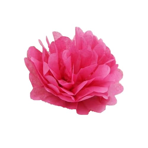 30 Stück Papier Blume Ball Pfingstrose Kugelblume Seidenpapier Pom Pom Pompons Blumen-Ball Dekorpapier Für Hochzeiten Partydekorationen DIY Kostüme Kopfschmuck Und Grußkarten 15cm-Farbe: Rose von LUMoony