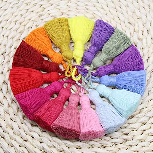 LUMoony 20Pcs 5cm Bunte Baumwolle Quaste Anhänger Troddel Quaste Kleine Quaste Anhänger Handgemachte Seidige Quasten mit Aufhängeschlaufe Kleine Fransen DIY Handwerk Zubehör von LUMoony