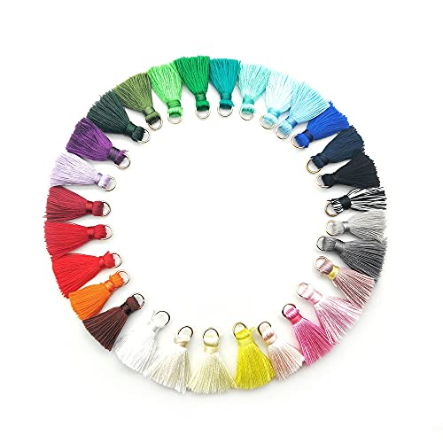 LUMoony 50Pcs 2cm Mini Quasten Anhänger Bunte Klein Tassel Mini Quasten Quasten mit Jump Ring für DIY Handwerk Zubehör,Ohrringe Taschen Basteln Schmuckherstellung Schlüsselanhänger Lesezeichen von LUMoony