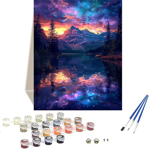 Berg Malen Nach Zahlen Erwachsene, Sternenhimmel Malen Nach Zahlen kinder Leinwand mit Pinseln und Acrylfarbe, DIY Paint by Numbers Adult und Anfänger, für Home Decor, Geschenk - 20x30 cm W-C von LUOLYYEI