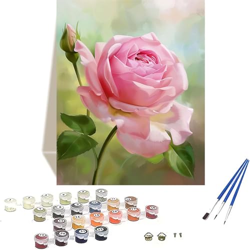 Blume Malen Nach Zahlen Erwachsene, Rose Malen Nach Zahlen kinder Leinwand mit Pinseln und Acrylfarbe, DIY Paint by Numbers Adult und Anfänger, für Home Decor, Geschenk - Ohne Rahmen 40 x 50 cm S-D von LUOLYYEI