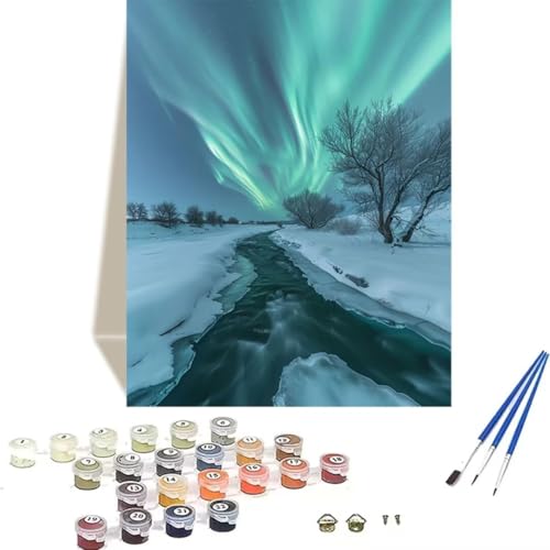 DIY Malen Nach Zahlen Erwachsene, Malen Nach Zahlen Kinder Aurora Erwachsene Malen Nach Zahlen Kits auf Leinwand, Winter Numbers Kunsthandwerk Geschenk für Home Wall Deco 60 x 80 cm (rahmenlos) 3-2 von LUOLYYEI