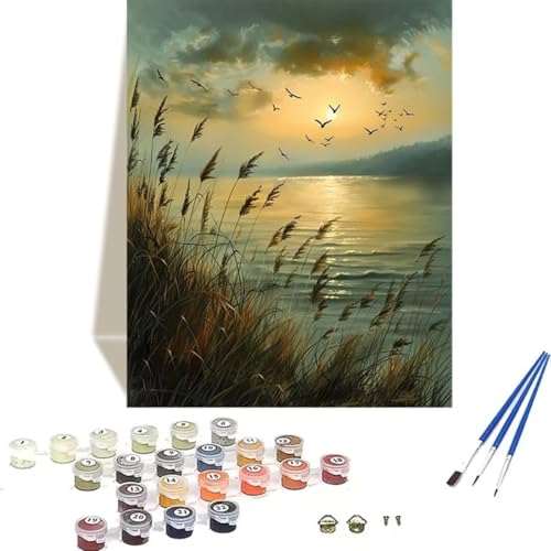 DIY Malen Nach Zahlen Erwachsene, Malen Nach Zahlen Kinder Meer Erwachsene Malen Nach Zahlen Kits auf Leinwand, Landschaft Numbers Kunsthandwerk Geschenk für Home Wall Deco 30 x 40 cm (rahmenlos) 8-8 von LUOLYYEI