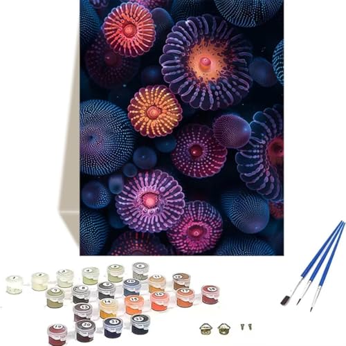 DIY Malen Nach Zahlen Erwachsene, Malen Nach Zahlen Kinder Meer Erwachsene Malen Nach Zahlen Kits auf Leinwand, Seeanemone Numbers Kunsthandwerk Geschenk für Home Wall Deco 60 x 80 cm (rahmenlos) 7-7 von LUOLYYEI