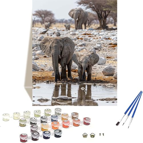 Elefant Malen Nach Zahlen Erwachsene, Tier Malen Nach Zahlen kinder Leinwand mit Pinseln und Acrylfarbe, DIY Paint by Numbers Adult und Anfänger, für Home Decor, Geschenk - Ohne Rahmen 20x30 cm 5-D von LUOLYYEI