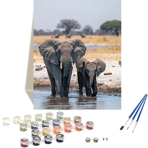 Elefant Malen Nach Zahlen Erwachsene, Tier Malen Nach Zahlen kinder Leinwand mit Pinseln und Acrylfarbe, DIY Paint by Numbers Adult und Anfänger, für Home Decor, Geschenk - Ohne Rahmen 40 x 60 cm 9-V von LUOLYYEI