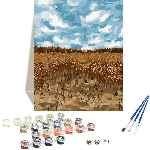 Herbst Malen Nach Zahlen Erwachsene, Himmel Malen Nach Zahlen kinder Leinwand mit Pinseln und Acrylfarbe, DIY Paint by Numbers Adult und Anfänger, für Home Decor, Geschenk - Ohne Rahmen 20x30 cm 0-I von LUOLYYEI